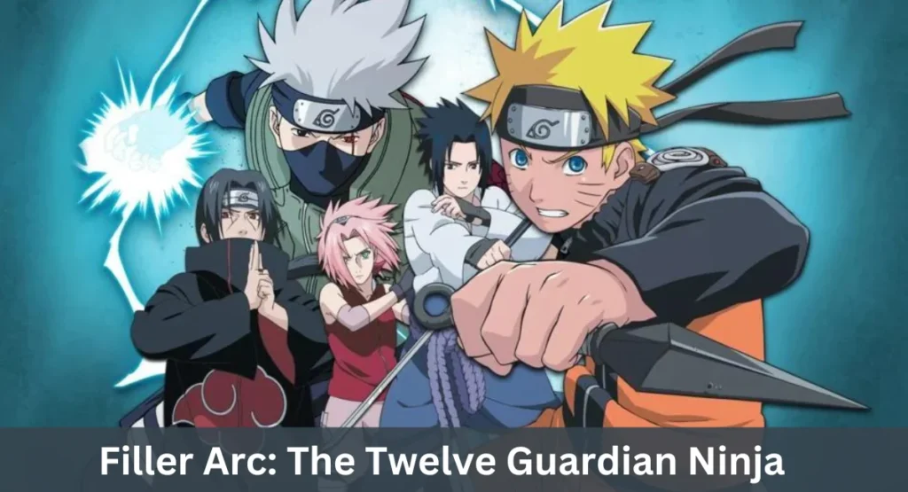 this image shown in Filler Arc: The Twelve Guardian Ninja