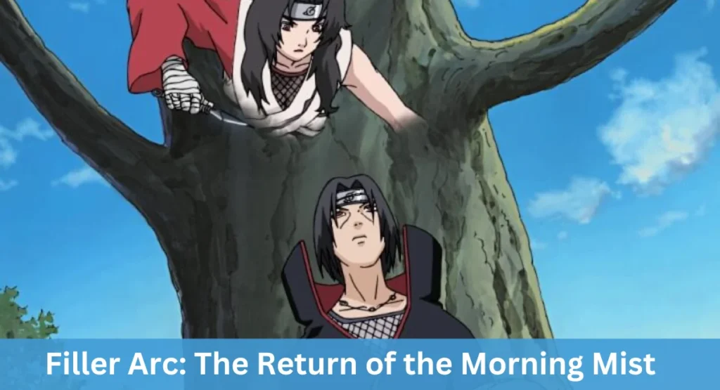 this image shown in Filler Arc: The Return of the Morning Mist