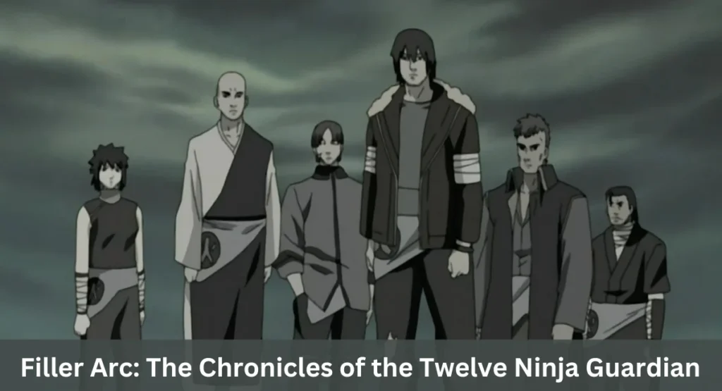 this image shown in Filler Arc: The Chronicles of the Twelve Ninja Guardian.