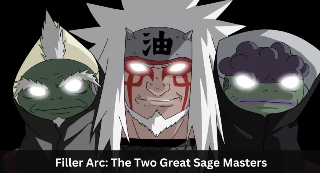 this image shown in  Filler Arc: The Two Great Sage Masters