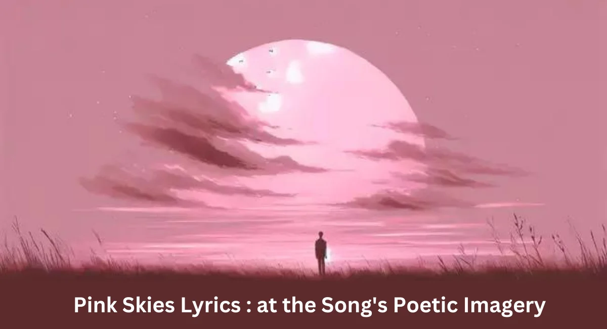 this image shown in Pink Skies Lyrics: A Closer Look at the Song's Poetic Imagery